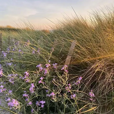 1. Ty Gwalarn, Vue Sur La Lande, Dunes Et Ocean * Saint-Jean-Trolimon